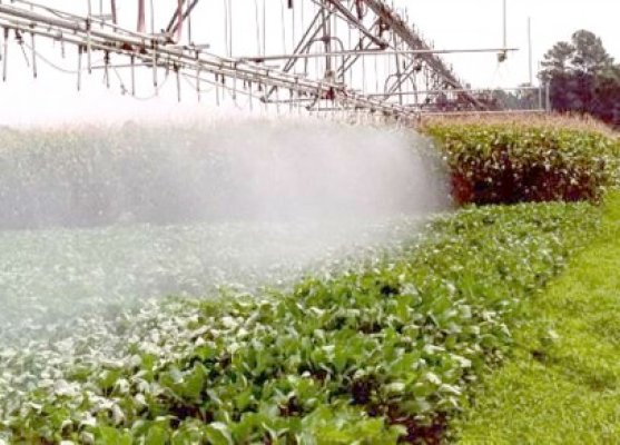 Îmbunătăţirea gestionării apei în sectorul agricol, analizată de specialiştii Ministerului Agriculturii